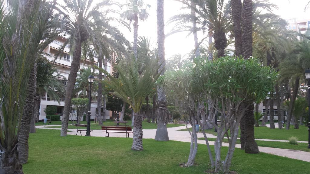 Palmeral De Torrevieja Exterior foto